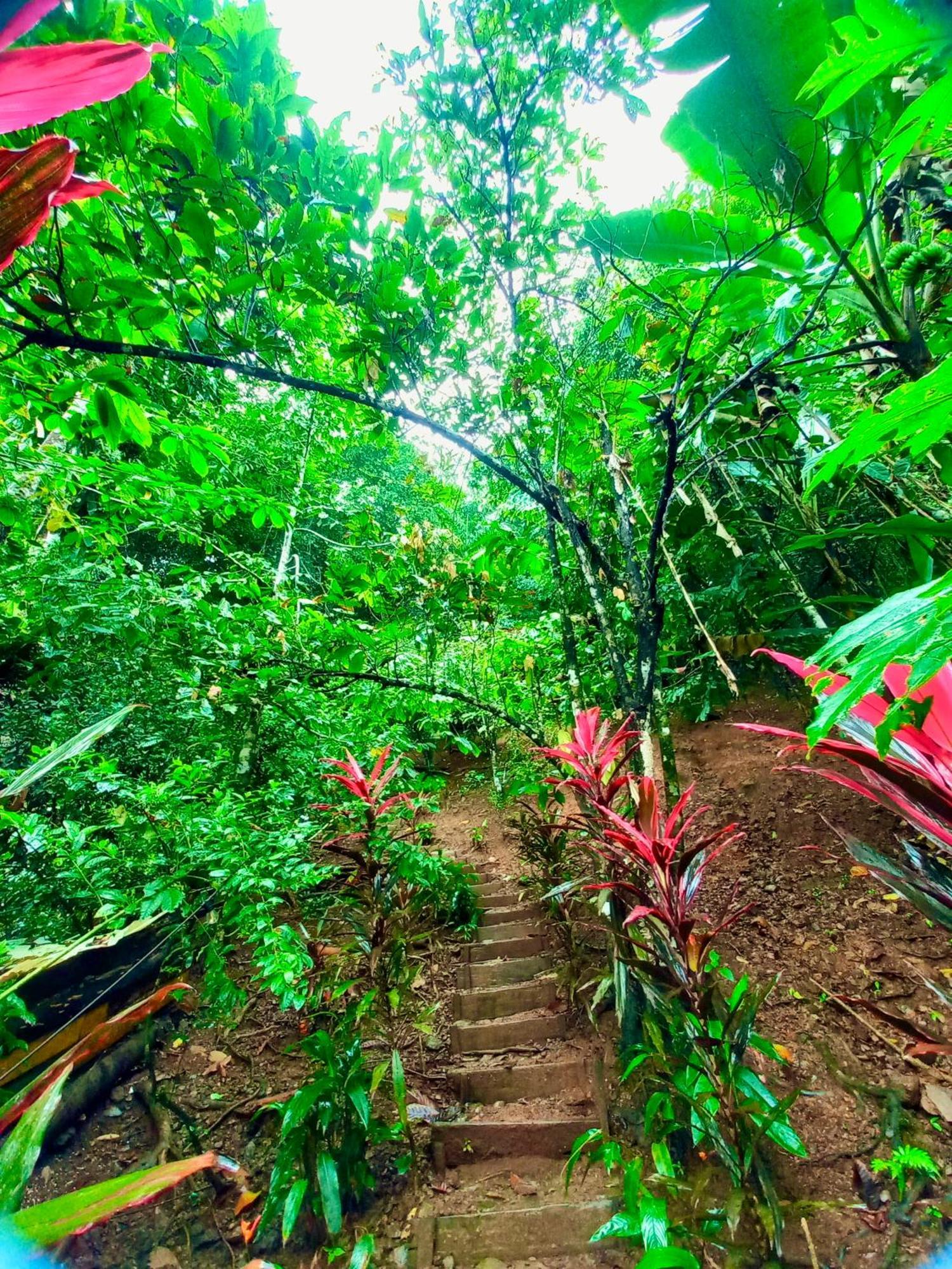 The Humpback Turtle Hotel El Valle  ภายนอก รูปภาพ