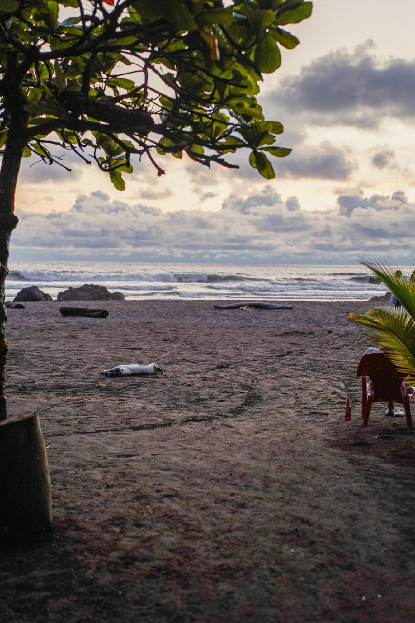 The Humpback Turtle Hotel El Valle  ภายนอก รูปภาพ